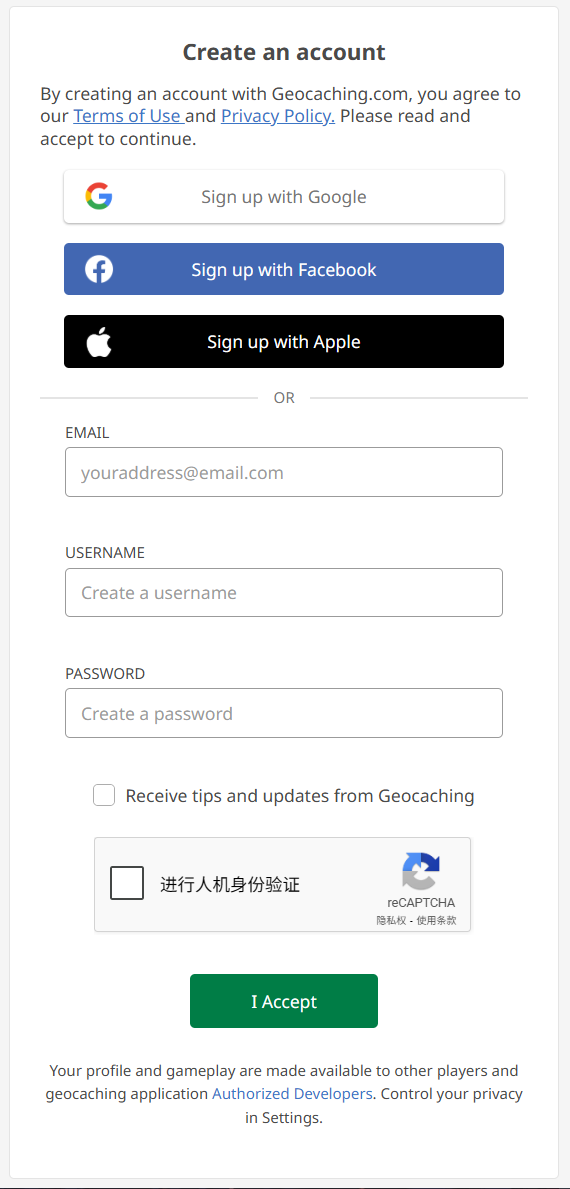 CAPTCHA 成功界面